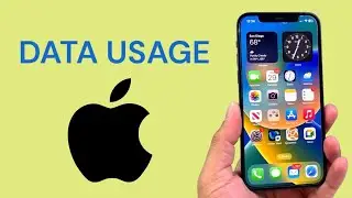 How To Check Data Usage in iPhone
