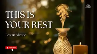 🌿 Rest in Silence | Healing Ambient Space