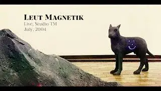 Leut Magnetik, Live, Studio TM