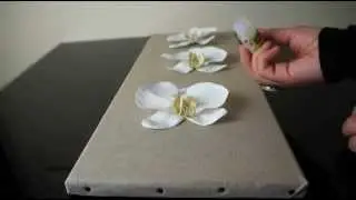R&eacute;aliser un tableau floral - Atelier Fleur de Mai