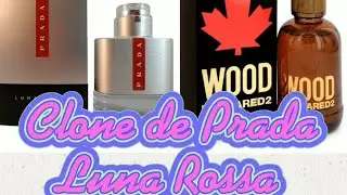 Prada luna Rosa, tiene un Clone  Wood for him Dsquared 2  C&iacute;trica 👍 🙂 Recomendada