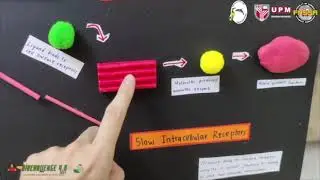 [BIS42] Category 5: BioINNOVATE-STEM Teaching Tools BIOCHALLENGE 4.0 2021