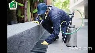 Residential Pest Control Geelong | Residential Pest Control in Geelong