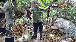 Unbelievable Forest Survival: Dangerous Animal Traps WORK!