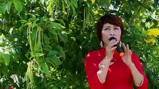 đã xinh gái lại còn hát hay nữa , chuyến tàu hoàng hôn xff hiền mai .