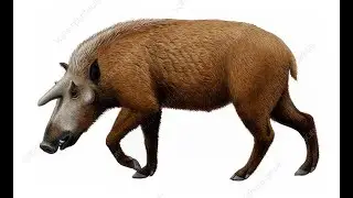 PIGS WITH HORNS