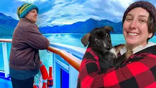 Epic Juneau Alaska Day! Endicott Arm to Dawes Glacier & Amazing Mushers Camp Dog Sledding Excursion!