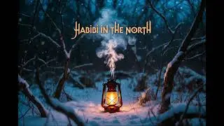 Habibi in the North (Official Audio)