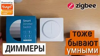 Умное управление освещением с помощью диммера для экосистемы Tuya Zigbee. Обзор, разбор, подключение