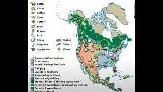 Dr. Deborah Hann on the Constitution, the U.S., and Canada