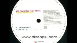 Joe T Vannelli feat. Csilla - A Night In Budapest