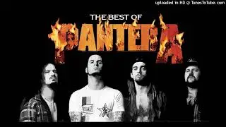 08. Pantera - This Love