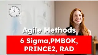 Six Sigma, PMI, PRINCE2 & RAD (Project Methods Explained Fast) #projectmanagement #agile #project