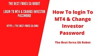 Create Investor Password For MT4 | The Best Forex EA