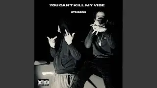 You cant kill my vibe