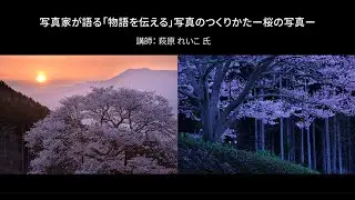 【写真家セミナー】萩原れいこ氏による「写真家が語る『物語を伝える』写真のつくりかた」(桜の写真)｜Lightroom －アドビ公式－