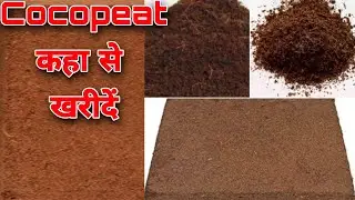 Cocopeat ||  Cocopeat- कहा से खरीदना चाहिए ??