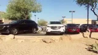 Welcome to the Mazda gang!