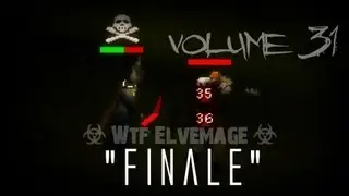 Wtf Elvemage Volume 31 