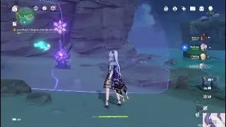 Chinjuu Forest thunder barrier glitch (Beach)