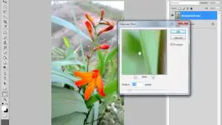 Photoshop Tutorial exposure  and Color Balance