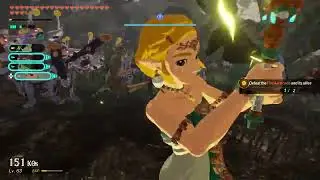 Hyrule Warriors: Age of Imprisonment | Part 41: Hyrule Forest Invaders