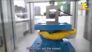 test for dog toys
