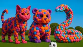 The mascot vibrato assistant cat placed on the football field is popular, co-produced, and creative