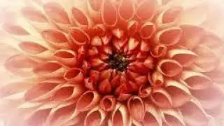Taurus May 2019 Horoscope Astrology Forecast: It's All About YOU! New Moon in Your Sign!