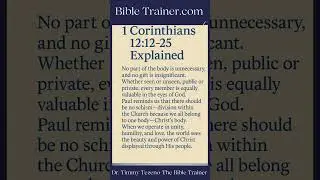 &ldquo;1 Corinthians 12:12&ndash;25 Explained by Dr. Timmy Tezeno | The Bible Trainer&rdquo; #wisdom#short #biblestudy