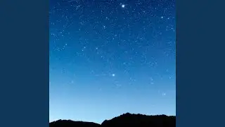Stellar Oracle