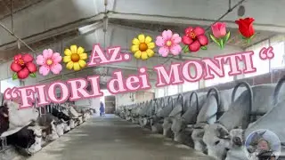 Az.”Fiori dei Monti”di Andrea Colombero,Barbara Viale e figli fr.Maigre Moiola #vallestura #cuneo