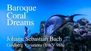 Bach & The Coral Symphony &ndash; Goldberg Variations Underwater