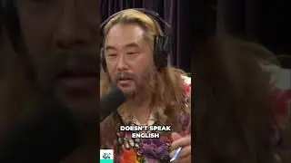 David Choe about the time he went to Congolese jungle to find the last remaining dinosaur