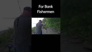 For Bank Fishermen #shorts #fishing #shortvideo #bankfishing