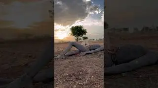 Asuran movie scene 🎬wait for😓end#youtubeshorts#new#fight#youtubeshortsvideo#trichy#cinematic#movie