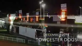 Towcester Dogs follyfilms