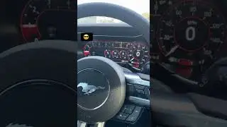 5.0 mustang 2021 6 spd manual