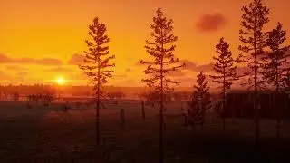 BULT hunting simulator  - Alpha teaser