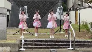 CuteRobin（キュートロビン）　恋のflower