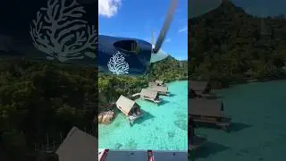 Landed in Paradise - Bawah Reserve, Indonesia #travel #luxury #shorts