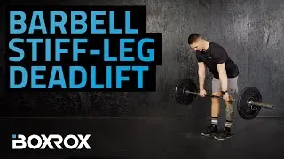 Barbell Stiff-Leg Deadlift: Build Powerful Hamstrings & Posterior Chain