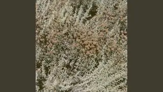 Nihilist Kite Flyer