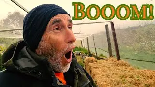 Gardening & Vlogging in a Thunder Storm: Stop doing this After 50!