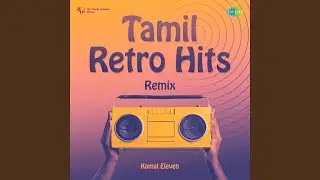 Sorgam Madhuvile - Kamal Eleven Remix