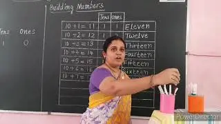 I Standard Mathematics - Numbers upto 20 - Part 1
