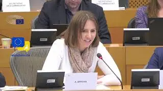 EU's Political Blindness? MEP Anna Bryłka Exposes Targeted Tariff War Strategy! #tariffs #tradewar
