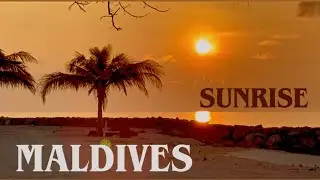 🇲🇻 Maldives Sunrise Bliss | Peaceful Ocean Waves, Soft Morning Light & Paradise Calm 