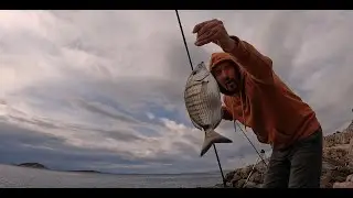 Ribarski raj otok Murter - Orada - Komarča - Ribolov s obale 2022 - GoPro 10 - Fishing - Croatia