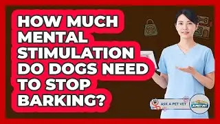 How Much Mental Stimulation Do Dogs Need To Stop Barking?